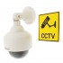 Dome Styled Decoy CCTV Camera & Warning Label (DC-25)