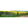 2B Solar Powered, Wireless Perimeter Beams (mounted on a set of gateposts).