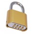 Combination Padlock with Parking Post
