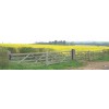 1B Solar Powered, Wireless Perimeter Beams (mounted between gateposts).