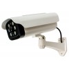 Solar Powered Flood Light & Dummy Camera