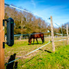 1B Solar Wireless Perimeter Alarm System 